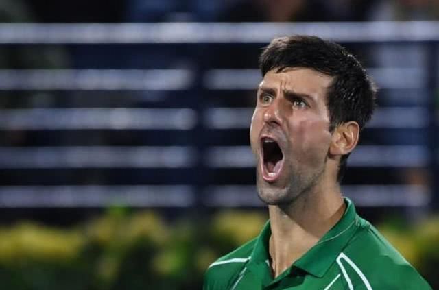 会获得更多 会获得更多